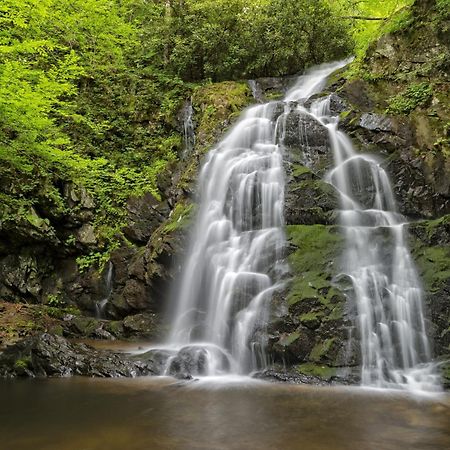 Four Bears Den, Hot Tub, 1089 Of Free Attraction Tickets For Each Paid Day, Dollywood And More جاتلينبرج المظهر الخارجي الصورة