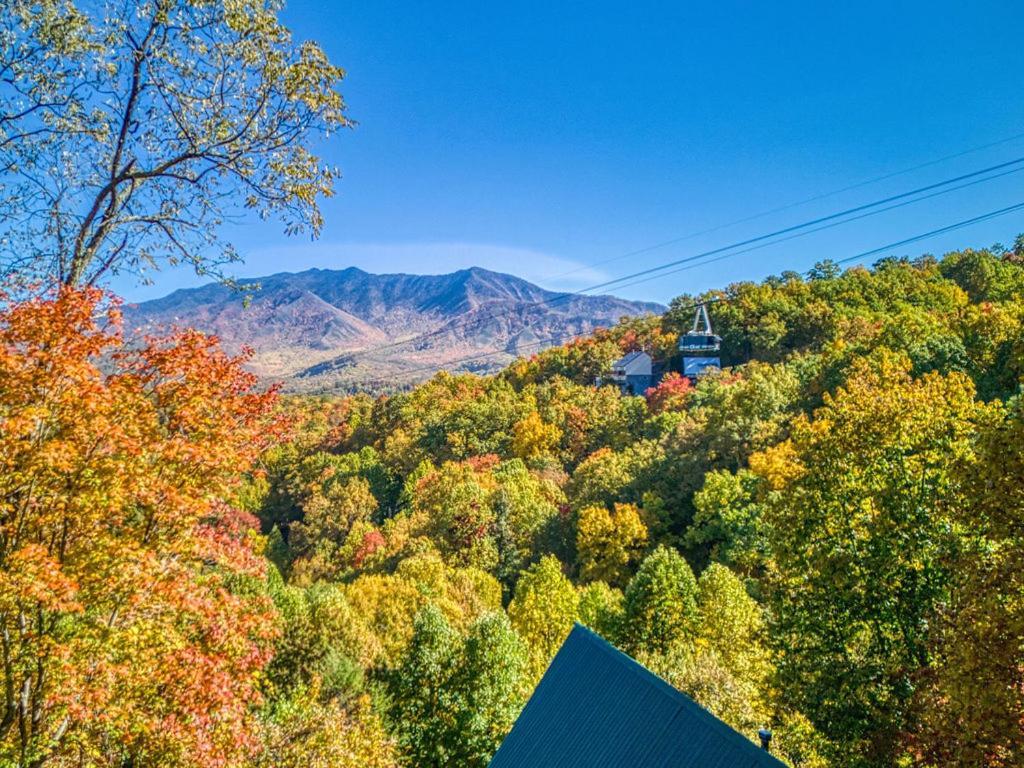 Four Bears Den, Hot Tub, 1089 Of Free Attraction Tickets For Each Paid Day, Dollywood And More جاتلينبرج المظهر الخارجي الصورة