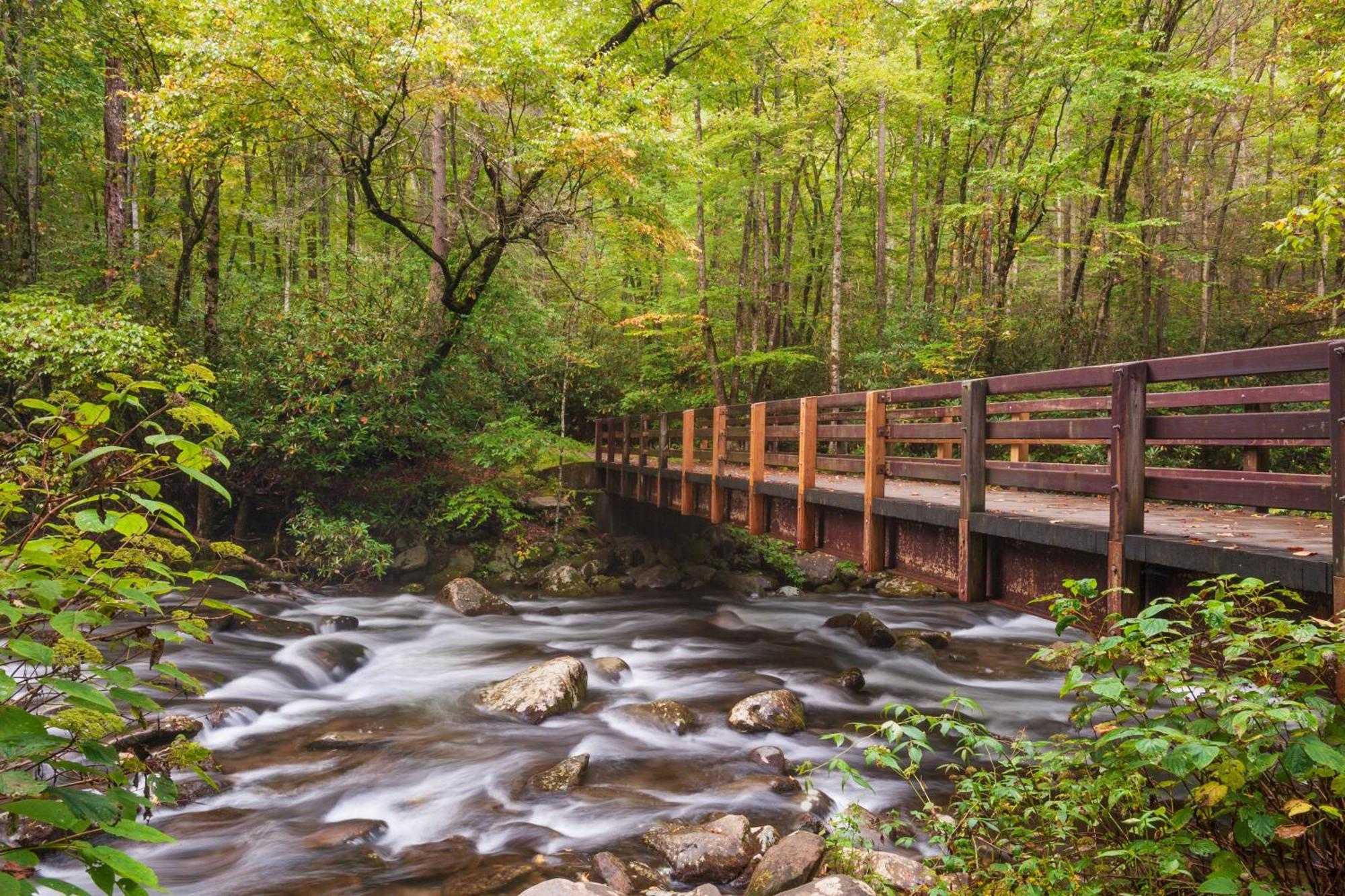 Four Bears Den, Hot Tub, 1089 Of Free Attraction Tickets For Each Paid Day, Dollywood And More جاتلينبرج المظهر الخارجي الصورة