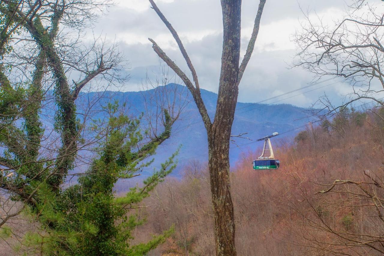 Four Bears Den, Hot Tub, 1089 Of Free Attraction Tickets For Each Paid Day, Dollywood And More جاتلينبرج المظهر الخارجي الصورة